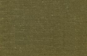 DELIGHT DELIGHT Military Olive 361