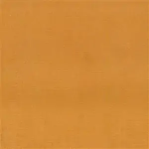 Amber 850