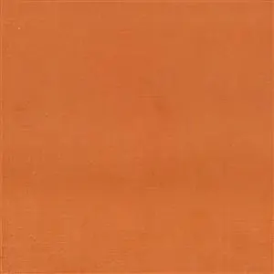 Apricot 333