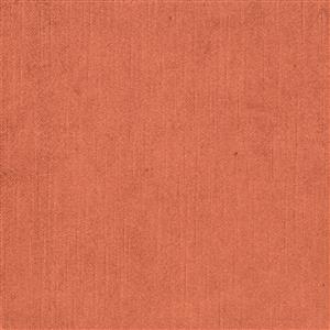 Terracotta 337