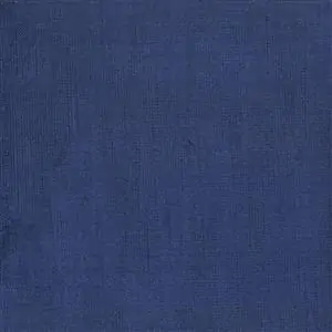 Navy 557