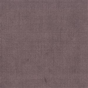 Teak 525