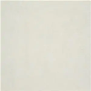 Ivory 22