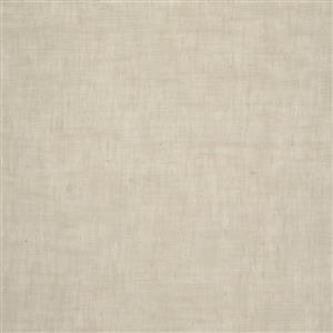 Cream 19