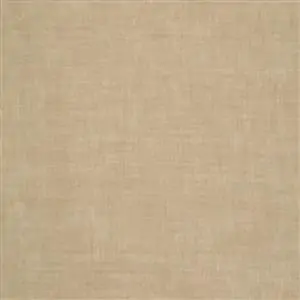 Desert 18
