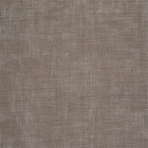 Taupe 14