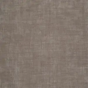 Taupe 14