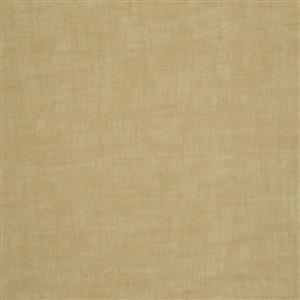 Bamboo 37