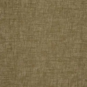 Olive 26