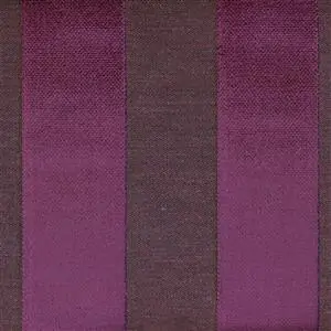 VIOLET 49***