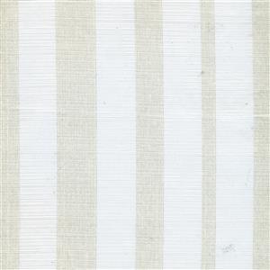 Delano Ivory 01***