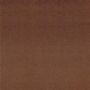 Pecan 047