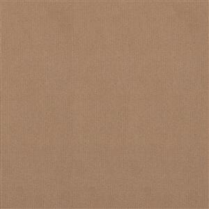 Leather 059