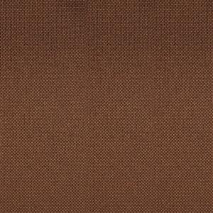 Pecan 050