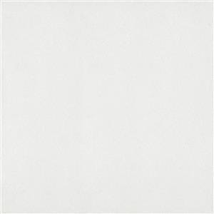 Parchment 107