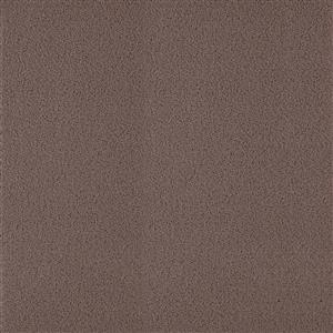 Walnut 016