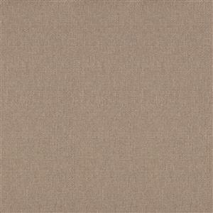 Seagrass 061