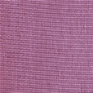 Fuchsia 29