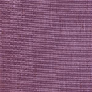 Aubergine 22