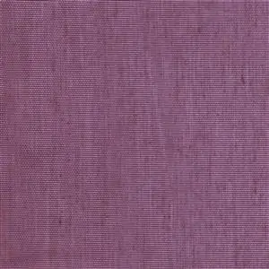 Aubergine 22