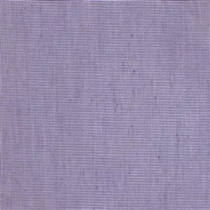 Eggplant 95