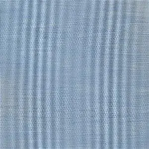 Indigo 91