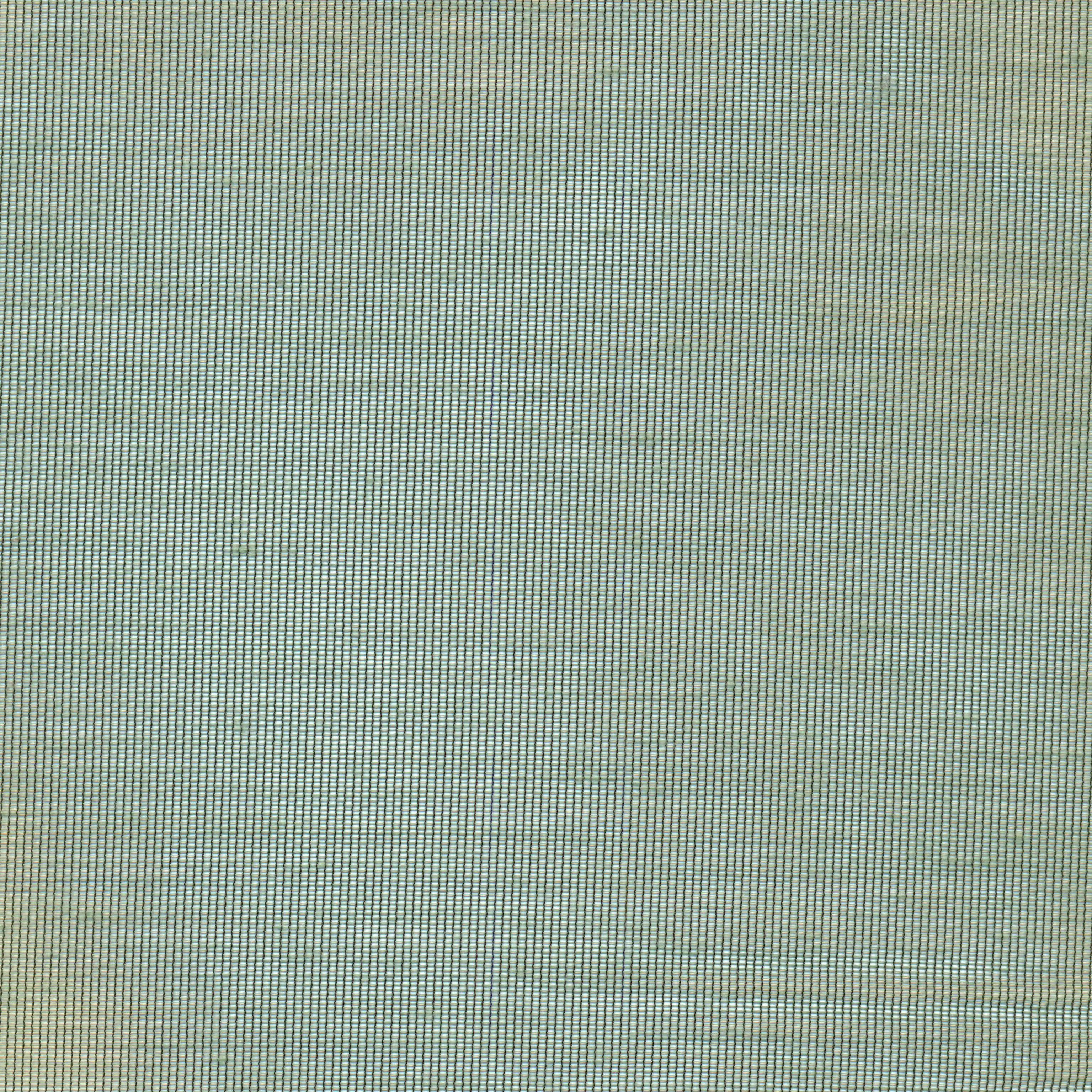 Eucalyptus 86