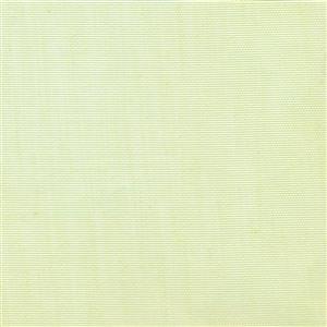 Celery 41