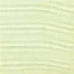 Celery 41