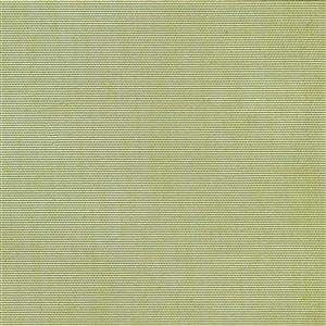 Bamboo 66