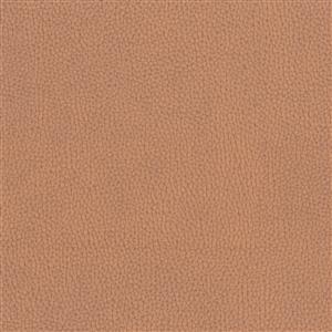 NESTOR TERRACOTTA 043***