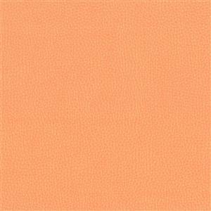 NESTOR TANGERINE 011***