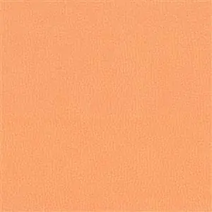 NESTOR TANGERINE 011***