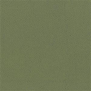NESTOR OLIVE 046***