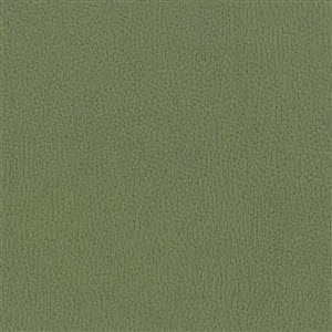 NESTOR OLIVE 046***