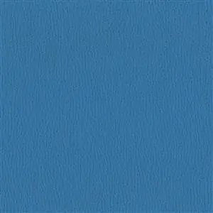 NESTOR SKY 043***
