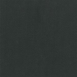 NESTOR GRAPHITE 099***