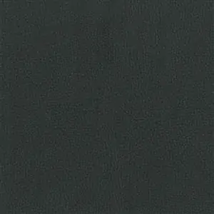 NESTOR GRAPHITE 099***