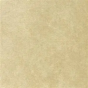 Sesame 04