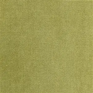 Olive 49