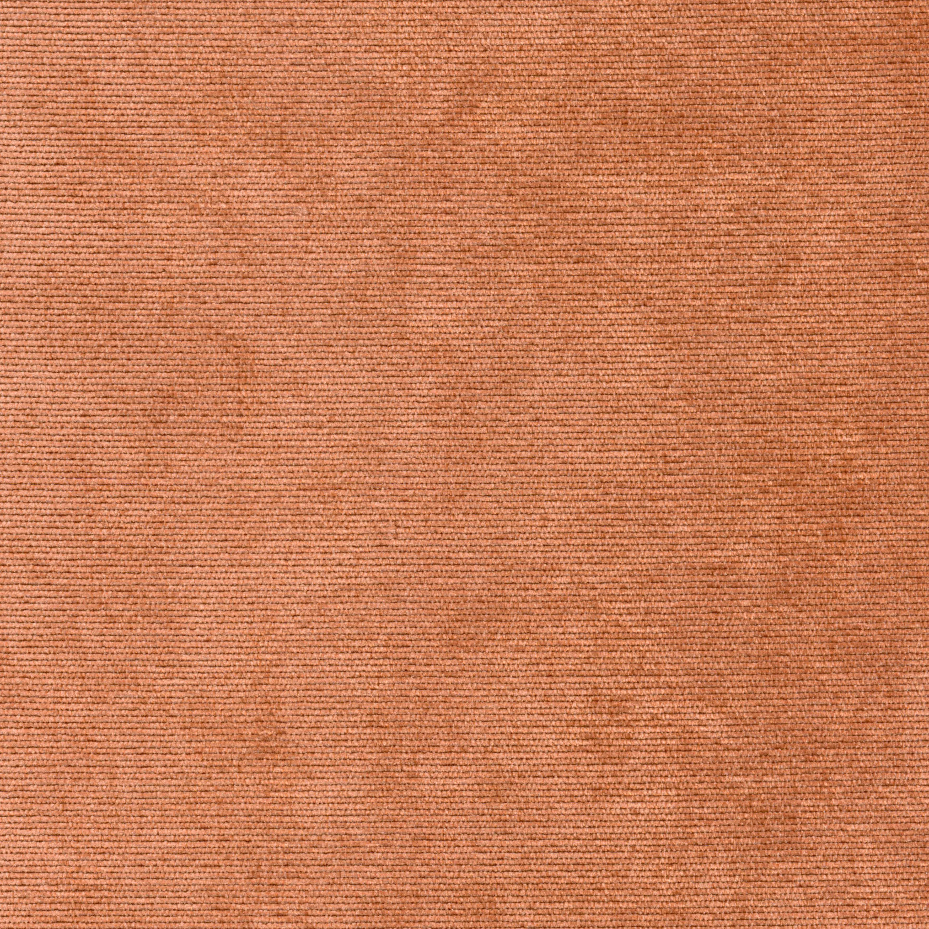 Coral 37