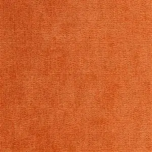 Apricot 36