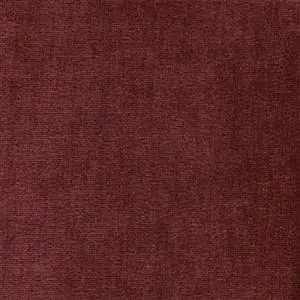 Aubergine 22