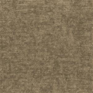 Taupe 3