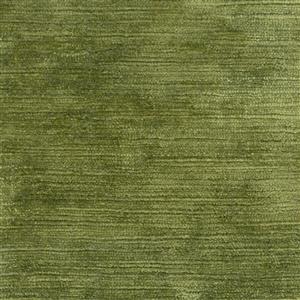 Bamboo 21
