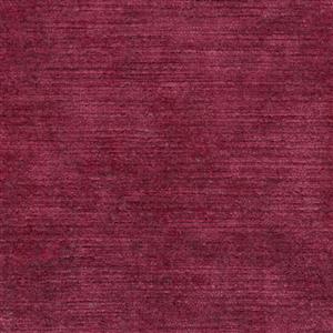 Fuchsia 16