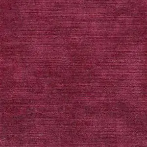 Fuchsia 16