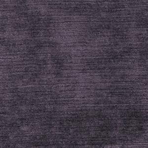 Eggplant 31