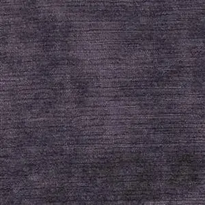 Eggplant 31