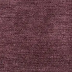 Aubergine 25